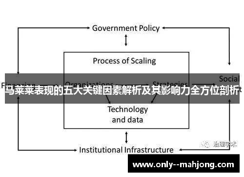 马莱莱表现的五大关键因素解析及其影响力全方位剖析
