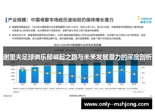 谢里夫足球俱乐部崛起之路与未来发展潜力的深度剖析