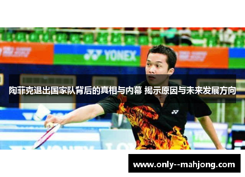 陶菲克退出国家队背后的真相与内幕 揭示原因与未来发展方向