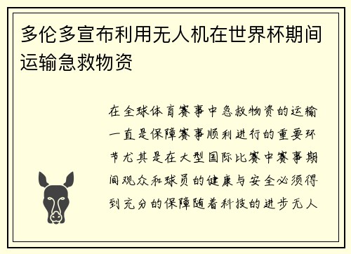 多伦多宣布利用无人机在世界杯期间运输急救物资 多伦多宣布利用无人机在世界杯期间运输急救物资